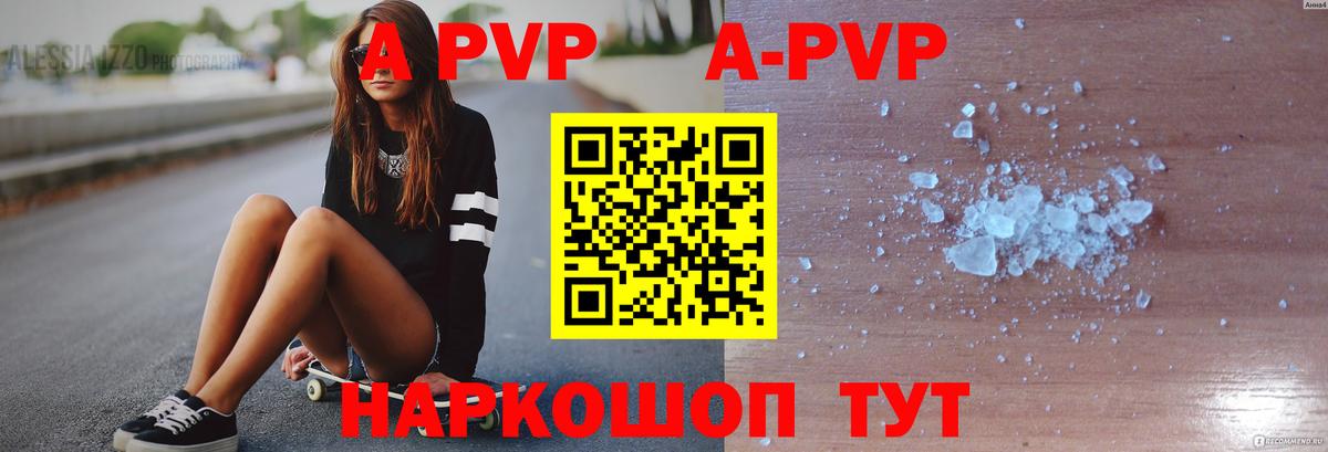 A PVP СК КРИС Коряжма