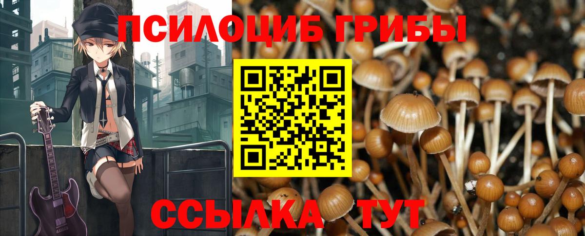 Псилоцибиновые грибы MAGIC MUSHROOMS  где купить наркоту  Коряжма  Вход с VPN 
